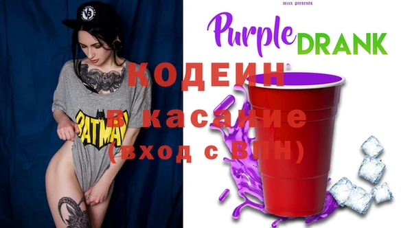 гашик Алексин
