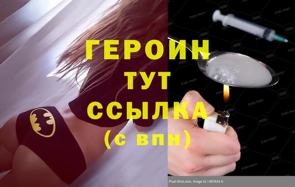 гашик Алексин