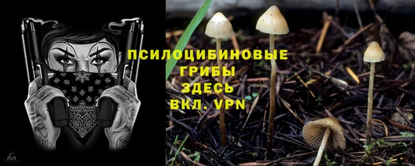 гашик Алексин